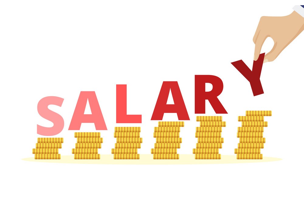 Mannheim MIM Salary: Sector-Wise